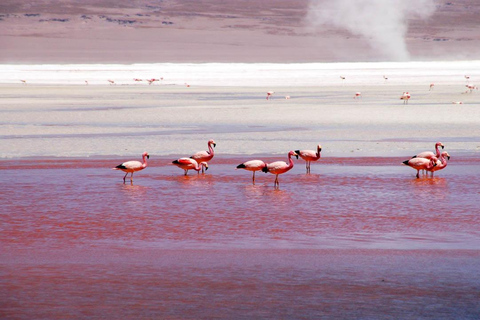 4D 3N PROGRAM SAN PEDRO DE ATACAMA-UYUNI-ATACAMA-PRIVATE VIP