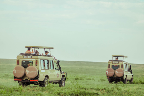 Zanzibar: 4-Day Mid-Range Safari Special for Honeymooners