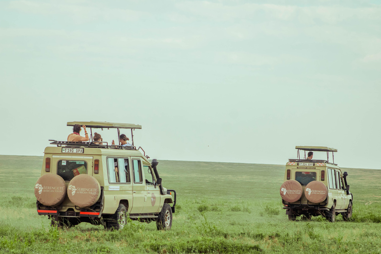 Zanzibar: 4-Day Mid-Range Safari Special for Honeymooners