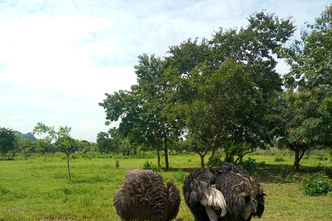 Accra: Shai Hills Resource Reserve Half-Day Tour
