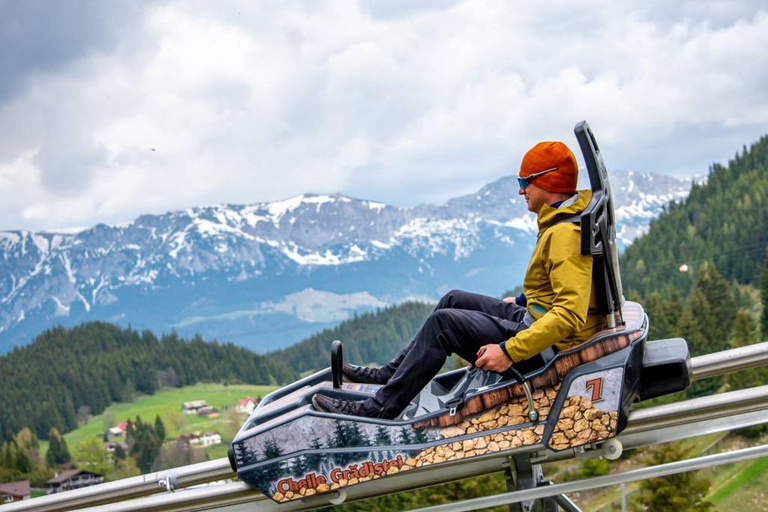 From Brasov: Bear Sanctuary, Bran Castle & Alpine Ride Bear Sanctuary & Bran Castle