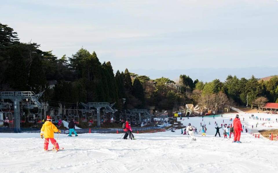 Osaka Kobe Mount Rokko Skiing and Snow Play 1Day Trip GetYourGuide