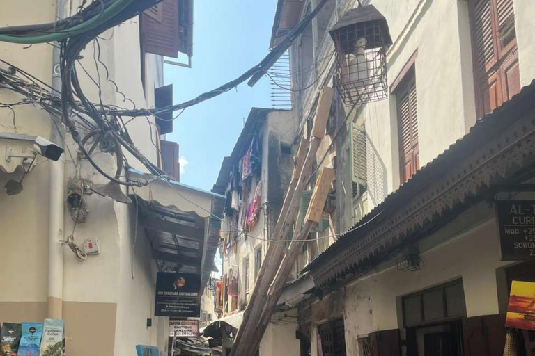 桑给巴尔：石头城之旅和萨拉姆洞穴海龟游泳探险私人观光（不含接送服务）