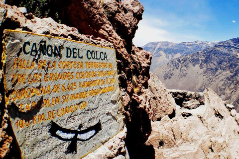 Colca Canyon Day Trip from Arequipa + Transfer to Puno