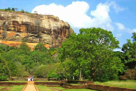 Viagem de 1 dia ao Rochedo Sigiriya e aos Templos de Dambulla