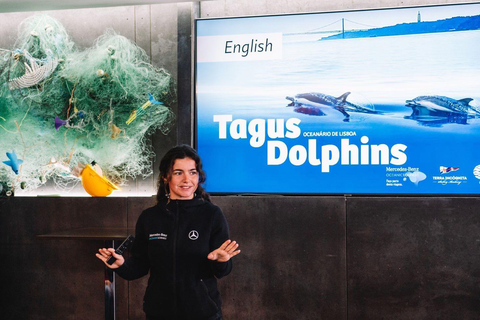 Lissabon: Bootstour zur DelfinbeobachtungLissabon: Bootstour mit Delfinbeobachtung