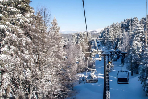 From Tbilisi: Borjomi and Bakuriani Day Trip