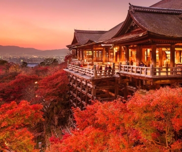Visite guidée privée et personnalisée d'une journée à Kyoto
