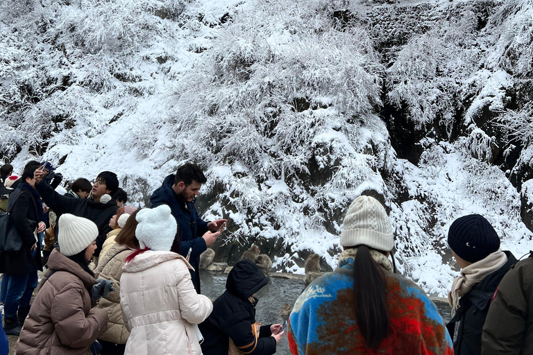 Depuis Tokyo : Excursion d&#039;une journée au parc des singes des neiges de Nagano et au temple Zenkoji