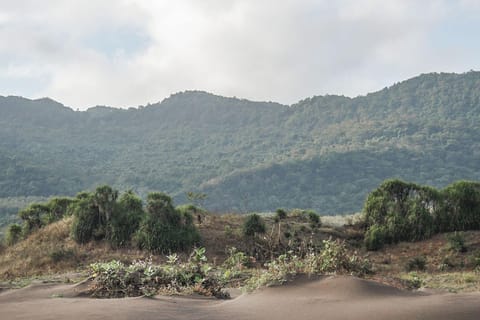 Explore Jogja: Jomblang Cave, Kali Suci & Sunset Sand Dune - Image 2