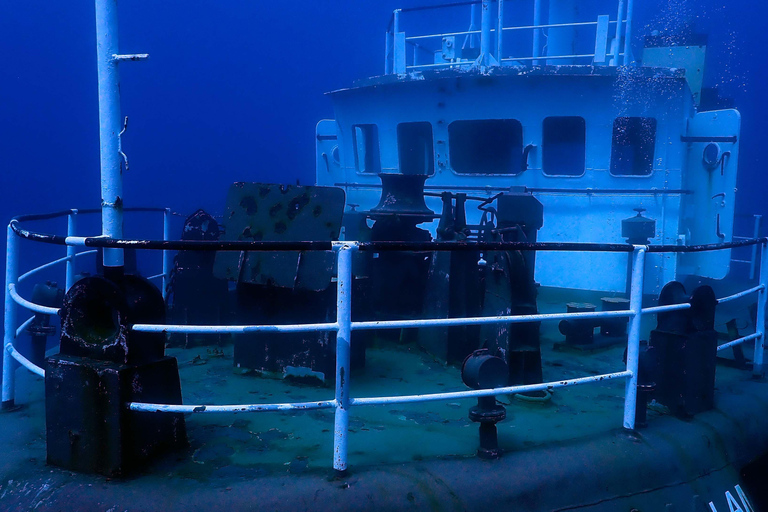 Larnaca: Private Wreck Diving Tour with Gear & Photos