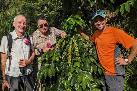 Pokhara: Sarangkot Village Coffee Culture & Local Life Hike