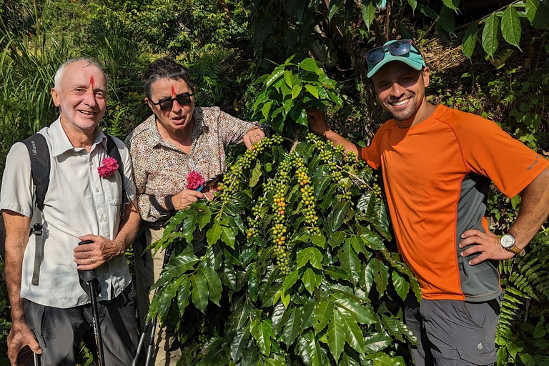 Pokhara: Sarangkot Village Coffee Culture & Local Life Hike