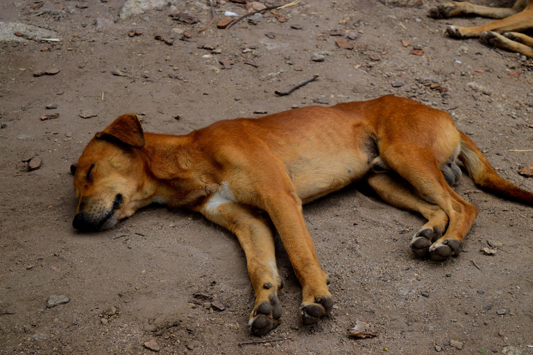 Au départ d'Arusha : circuit du lac Eyasi, des villages Datoga et HadzabeAu départ d'Arusha : visite du lac Eyasi, des villages Datoga et Hadzabe