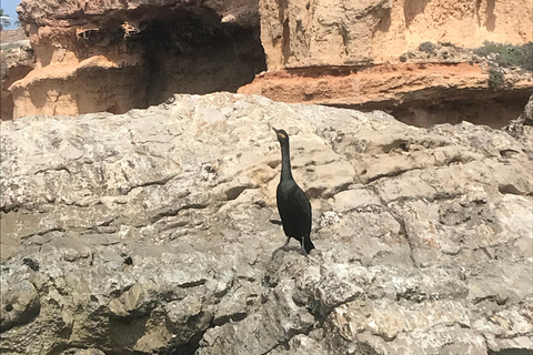 Cours de paddle surf, visite de la grotte, des calanques, plongée en apnéeExcursion au Sup, dans les grottes et avec masque et tuba