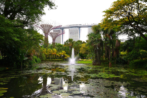 Singapore: Unravel Hidden Gems in a Private Customized Tour Private Customized Tour - 2 hours