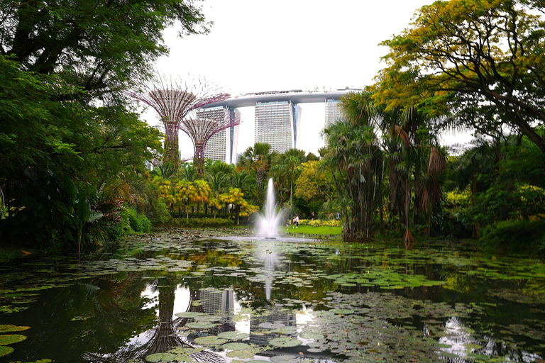 Singapore: Unravel Hidden Gems in a Private Customized Tour Private Customized Tour - 2 hours