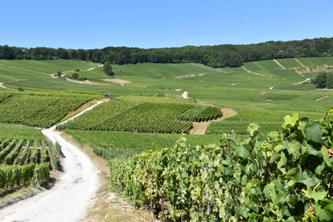 Reims: L&#039;Incontournable Tradition &amp; panoramisch uitzicht