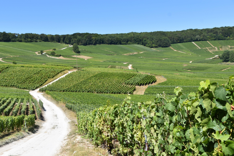 Reims: L&#039;Incontournable Tradition &amp; panoramisch uitzicht