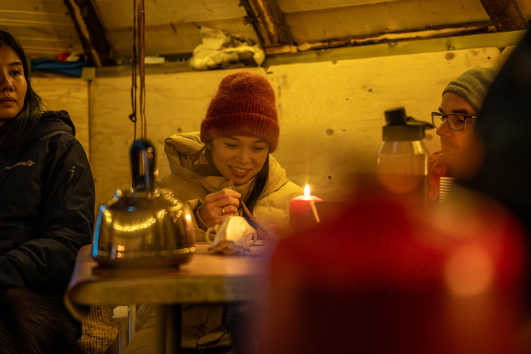 Tromsø: Sami Camp and Reindeer Experience with Lunch