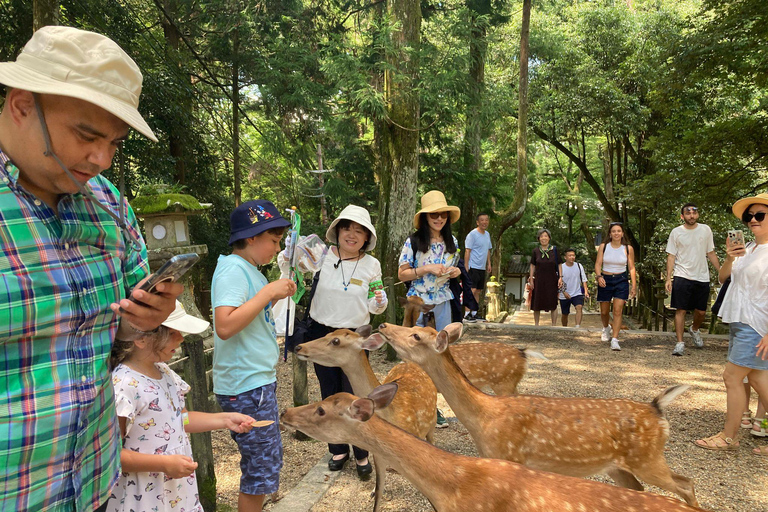 奈良：专业摄影和徒步导览