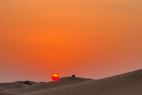 Salalah: Empty Quarter Desert Adventure to Hashman Dunes