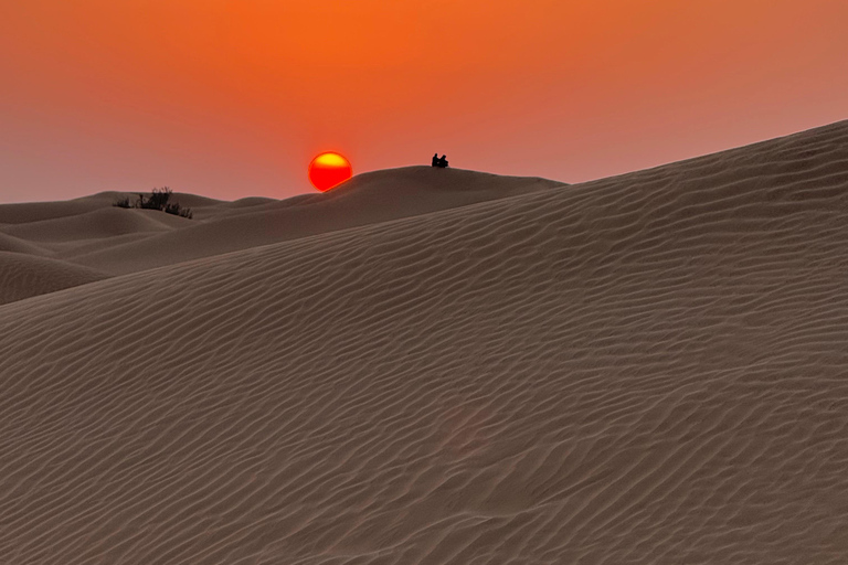 Salalah: Empty Quarter Desert Adventure to Hashman Dunes