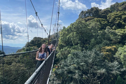 Kigali: 3-Day Culture, Canopy & Waterfalls Safari Tour