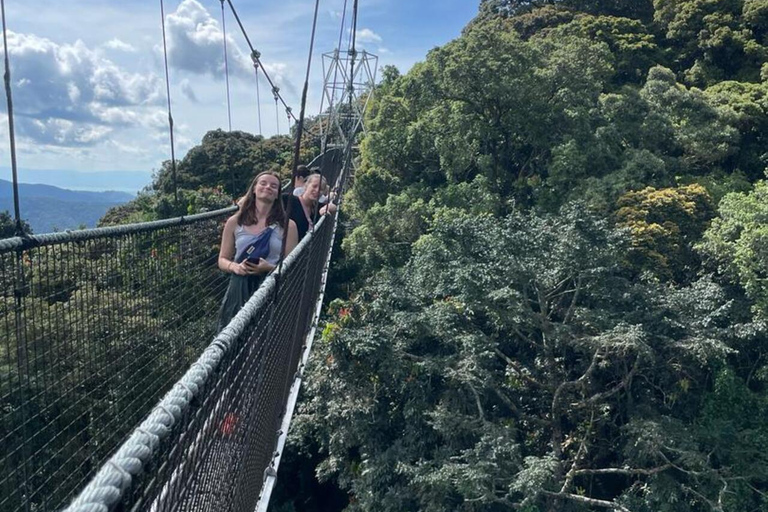 Kigali: 3-Day Culture, Canopy & Waterfalls Safari Tour