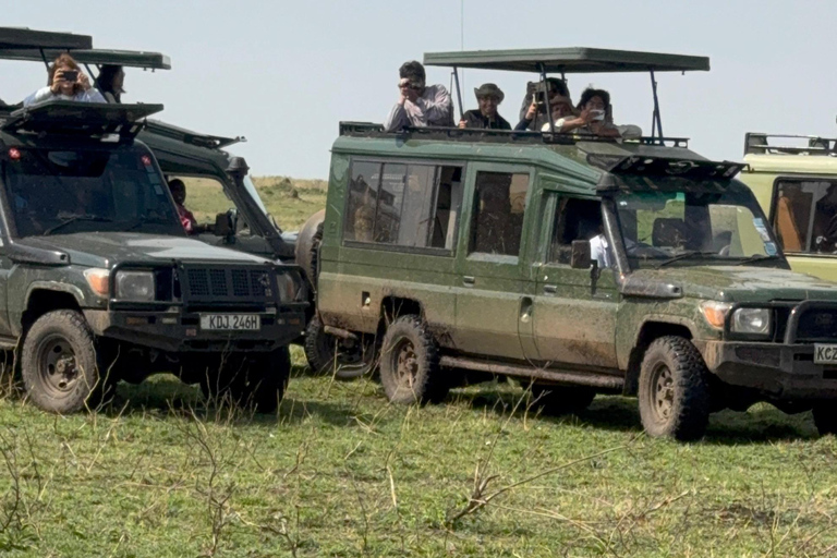 Nairobi National Park Half Day Guided Safaris in 4x4 Vehicle Private Half Day Guided Safaris in 4x4 Open roofed Van