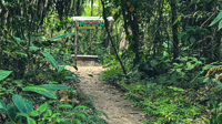 Tour the Howler Monkey Habitat - Housity