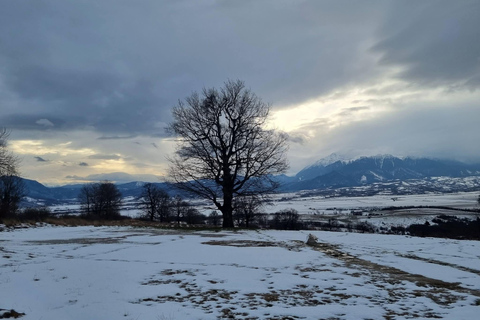 From Brasov: Sky Road & Sacred Valley Private Experience