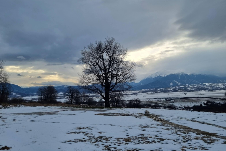 From Brasov: Sky Road & Sacred Valley Private Experience