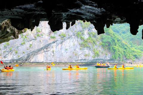 Ha Noi: Ha Long Bay Day Cruise in One Day Tour Otis Deluxe Ha Long day cruise departing from Tuan Chau Port