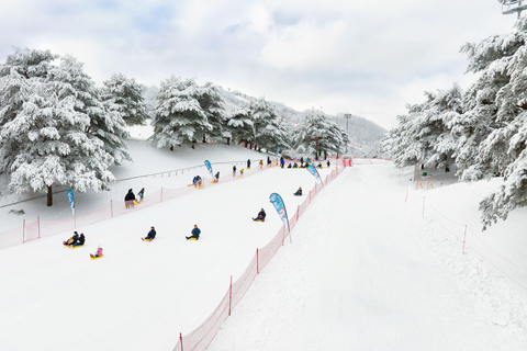 Seul: Esqui de inverno no Vivaldi Park com excursão de um dia ao Eobi Ice ValleyPacote completo SLED - Encontro na estação Hongik Univ.