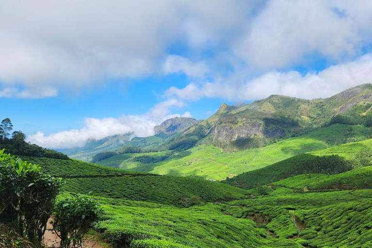 Cochin - Munnar Day Trip with Waterfalls and Tea Museum
