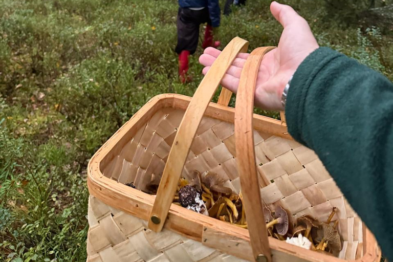 Helsinki: Foraging Tour and Cooking Class with Dinner