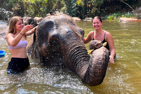 Chiang Mai: Jungle Trek, Elephants care & Bamboo Rafting