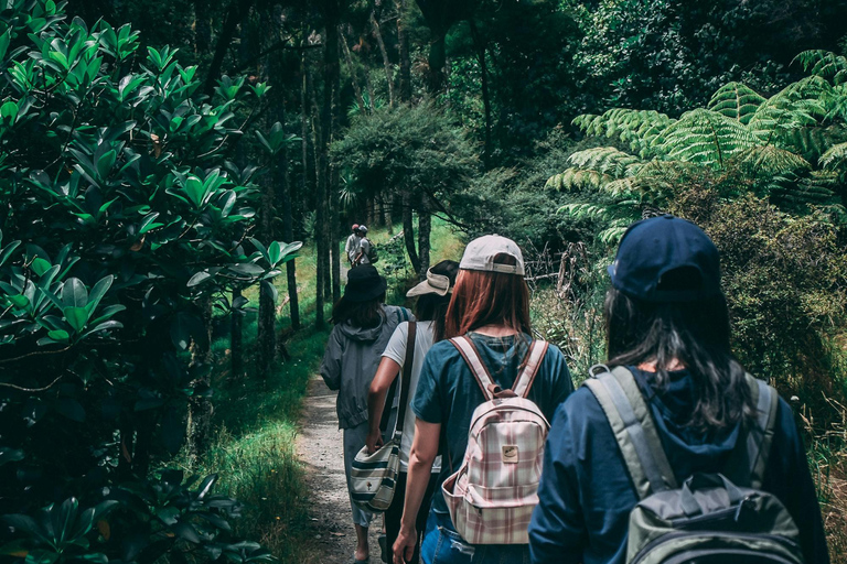 Kilimanjaro Day Trip: Experience Highest Peak in One Day.