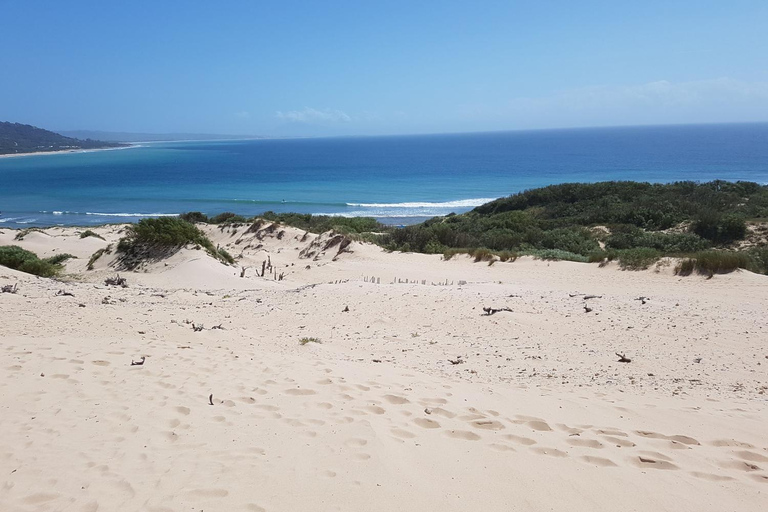 Excursie naar Tarifa, Baelo Claudia, Bolonia en Vejer de la Frontera met gidsUitstapje naar Tarifa, Baelo Claudia, Bolonia en Vejer de la Frontera met gids