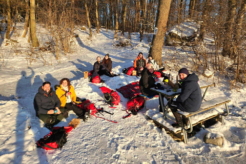 Estocolmo: Patinaje Nórdico sobre Hielo para Principiantes en un Lago Helado