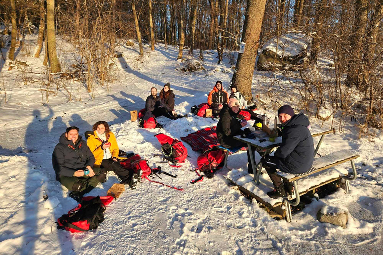 Stockholm: Noords schaatsen voor beginners op een bevroren meer