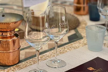 Verona: Valpolicella und Amarone Wein Tour mit leichtem Mittagessen!