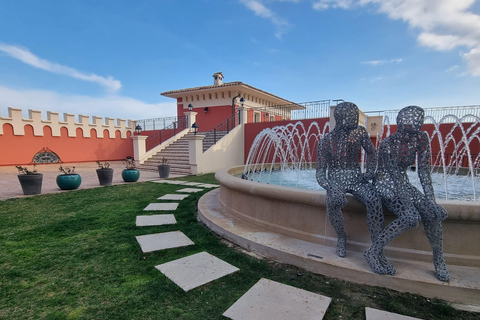From Nice: Tour of the Most Beautiful Places