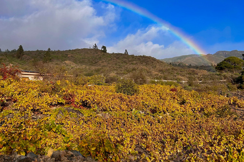 South Tenerife: Off-the-beaten-track buggy adventure South Tenerife: Full-Day Self-Drive Buggy Experience