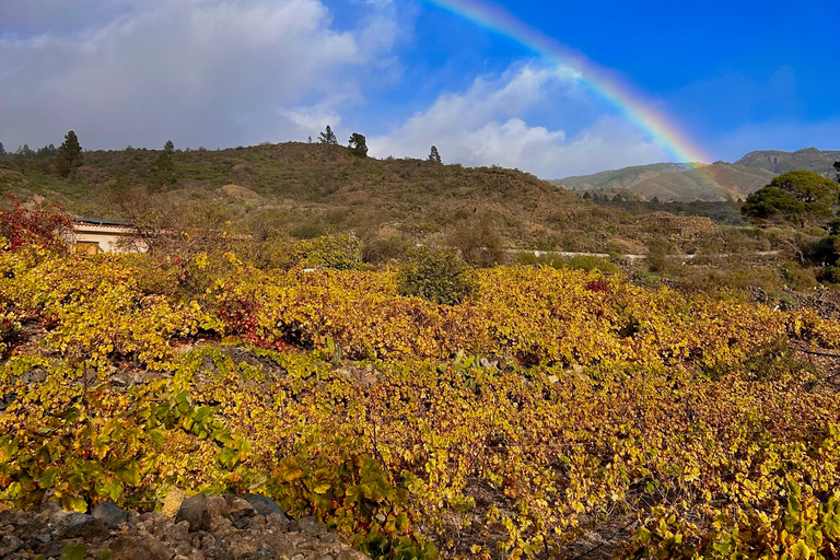 South Tenerife: Off-the-beaten-track buggy adventure South Tenerife: Full-Day Self-Drive Buggy Experience