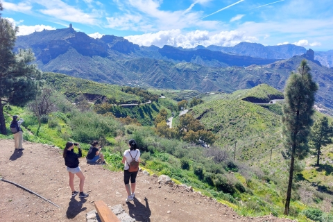Gran Canaria 7 Beauty Small Group Tour Tapas-Picnic inclus