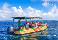 Martinique, Mangrove Boat Tour от Trois-ylets - Housity