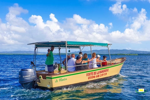 Martinica: Tour en barco por los manglares desde Les Trois-Îletschamp spécial