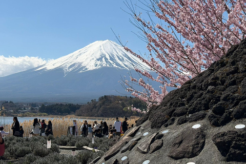 From Tokyo: Mount Fuji and Hakone Private Customizable Trip From Tokyo: Mount Fuji and Hakone Full Customizable Trip